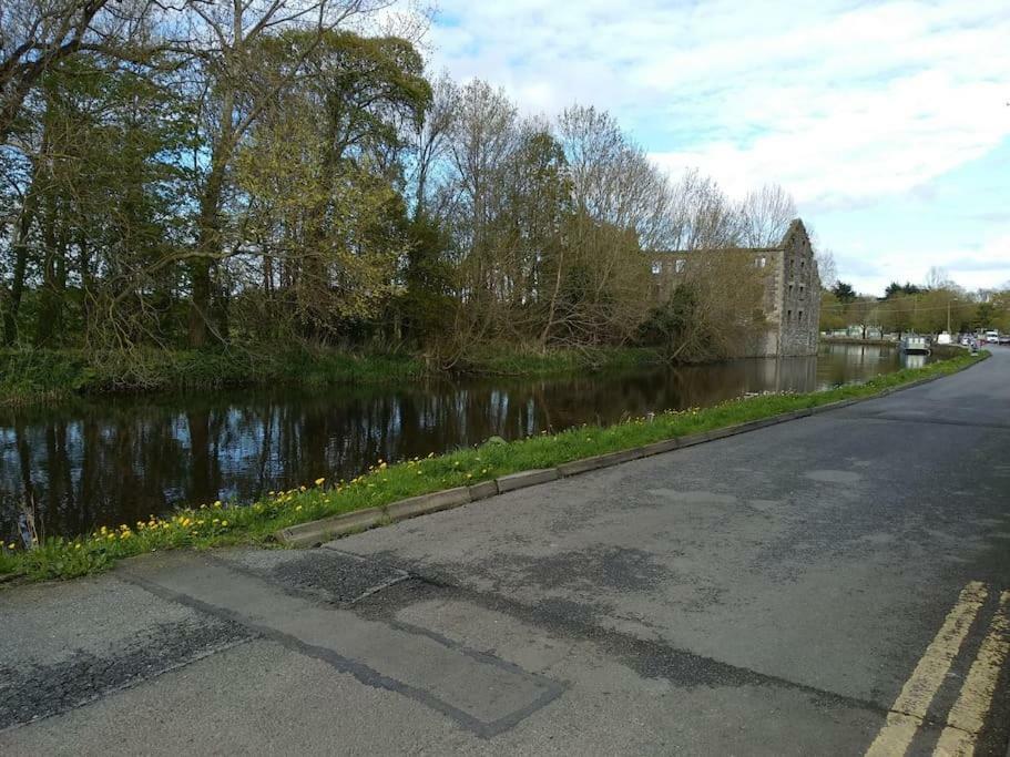 Small Town House, Barrow Lane, Bagenalstown, Carlow Εξωτερικό φωτογραφία